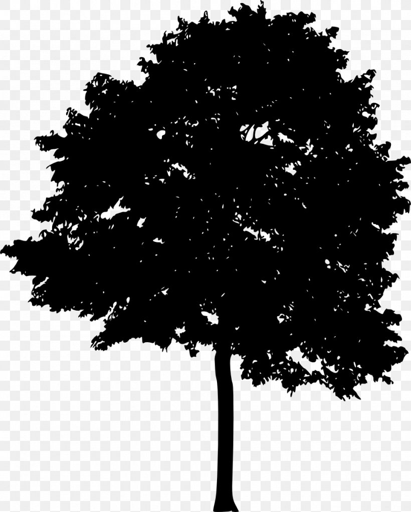 Tree Light Woody Plant Silhouette, PNG, 962x1200px, Tree, Black And White, Branch, Forest, Leaf Download Free