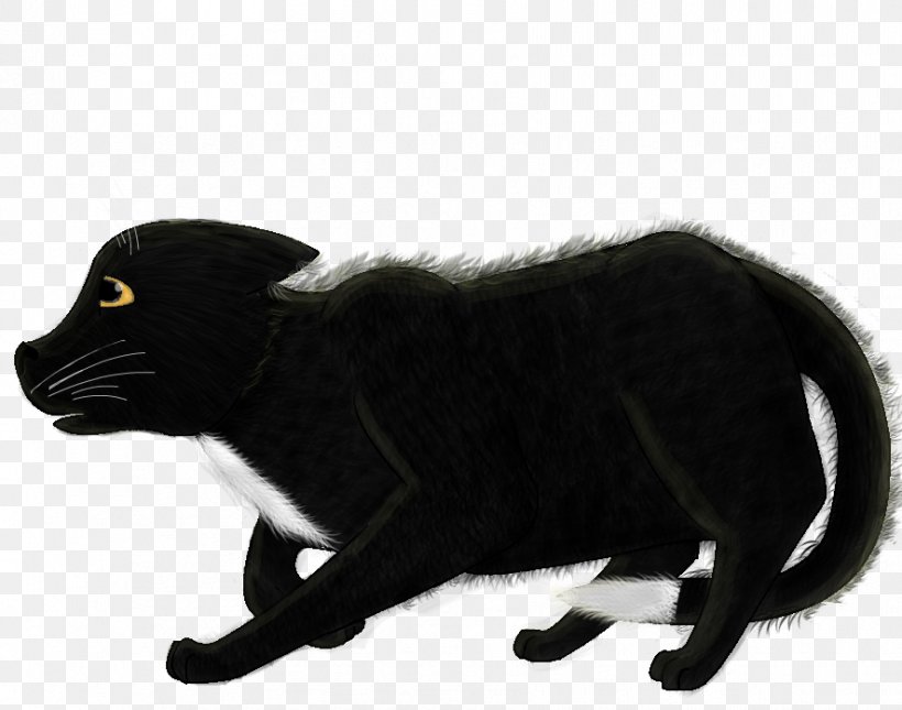 Black Cat Fur Puma Snout, PNG, 886x697px, Black Cat, Black, Black M, Black Panther, Carnivoran Download Free