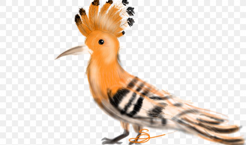 Beak Bird The Art Of Painting Eurasian Hoopoe, PNG, 1024x602px, Beak, Animal, Animal Figure, Art, Art Of Painting Download Free