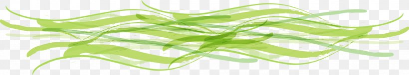 Leaf Grasses Plant Stem Tree Green, PNG, 1332x246px, Leaf, Close Up, Closeup, Family, Grass Download Free