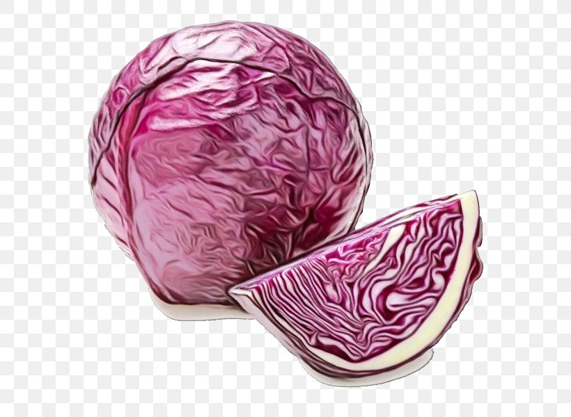 Red Cabbage Cabbage Pink Magenta Food, PNG, 600x600px, Watercolor, Cabbage, Food, Leaf Vegetable, Magenta Download Free