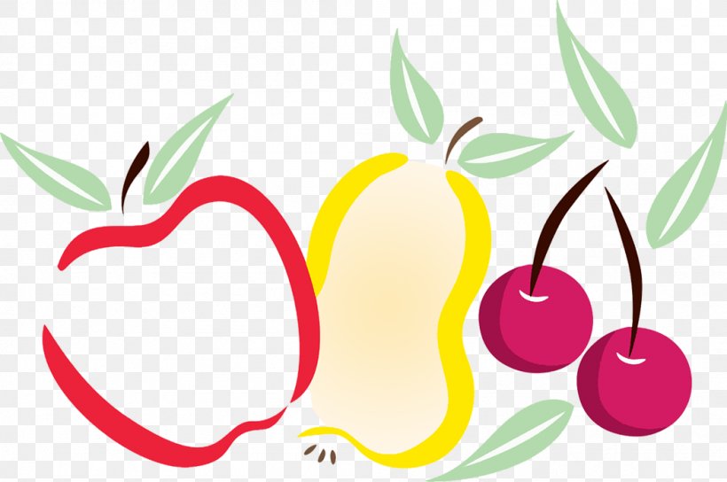 Apple Cherry Fruit Organic Food, PNG, 1049x696px, Apple, Art, Artwork, Autumn, Cherry Download Free