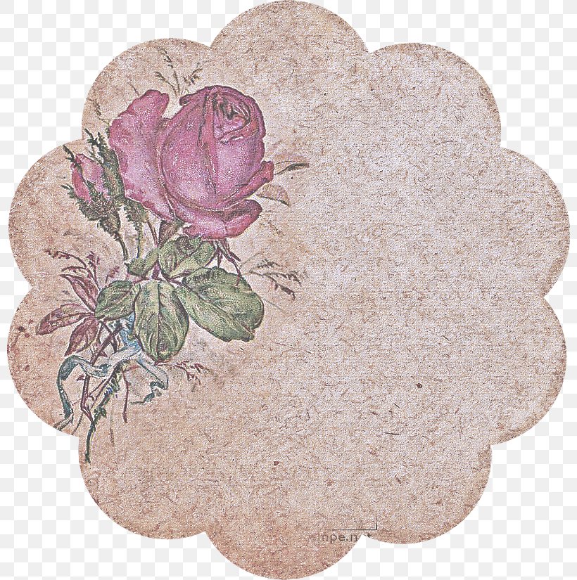 Rose, PNG, 800x825px, Pink, Beige, Flower, Flowering Plant, Petal Download Free