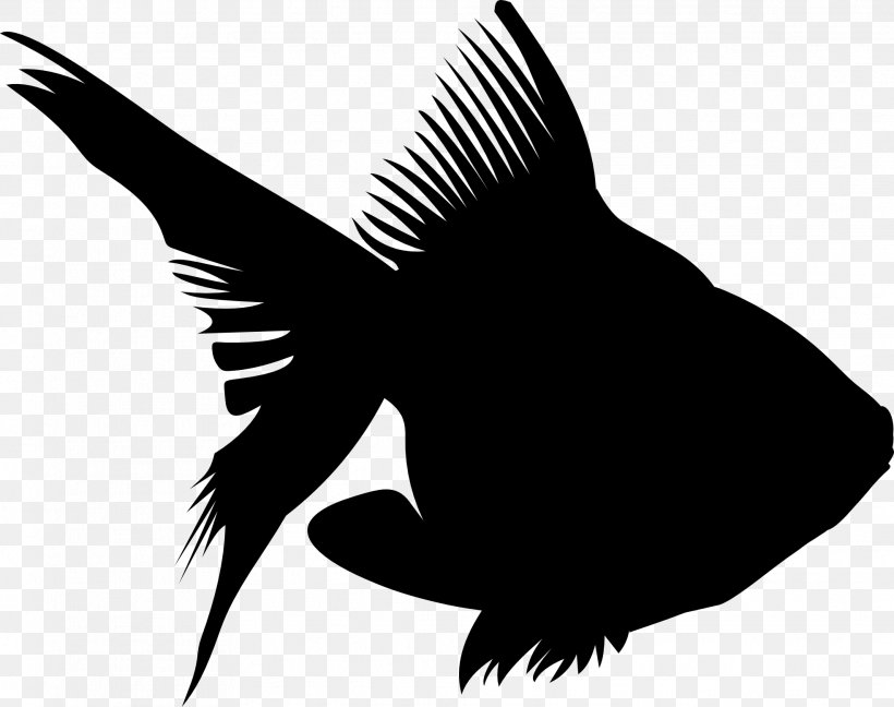 Beak Clip Art Fauna Silhouette, PNG, 1969x1556px, Beak, Bird, Fauna, Organism, Perching Bird Download Free