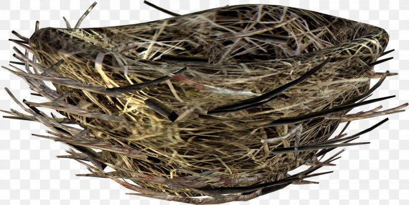 Bird Nest Image, PNG, 1917x963px, Bird, Barn Swallow, Bird Nest, Drawing, Edible Birds Nest Download Free