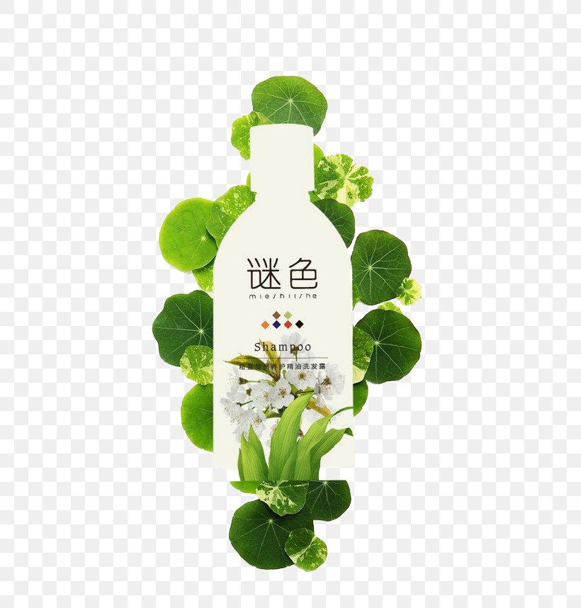 Bottle Shampoo Hair Conditioner Plant, PNG, 558x858px, Shampoo, Bottle, Cosmetics, Designer, Flower Download Free