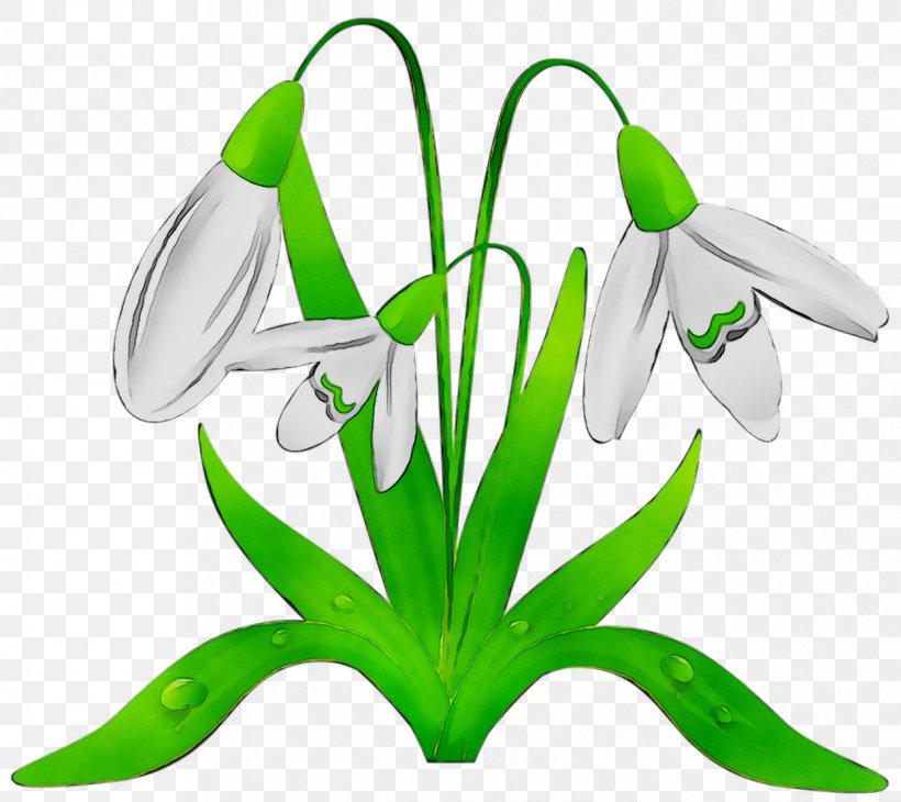 Clip Art Image Cartoon, PNG, 1243x1107px, Cartoon, Amaryllis Family, Botany, Child, Creativity Download Free