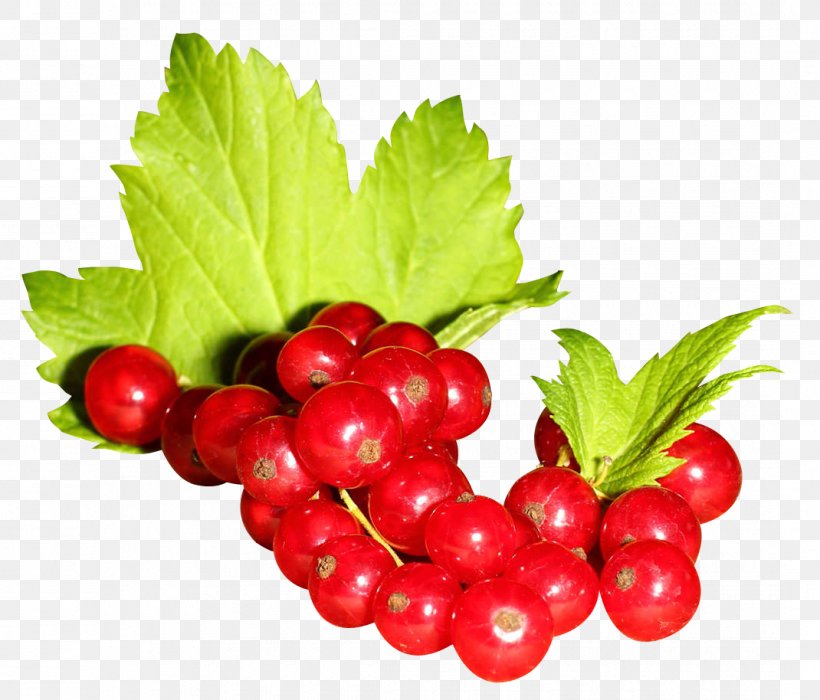 Gooseberry Redcurrant Blackcurrant Zante Currant Frutti Di Bosco, PNG, 1070x914px, Gooseberry, Berry, Cranberry, Currant, Diet Food Download Free