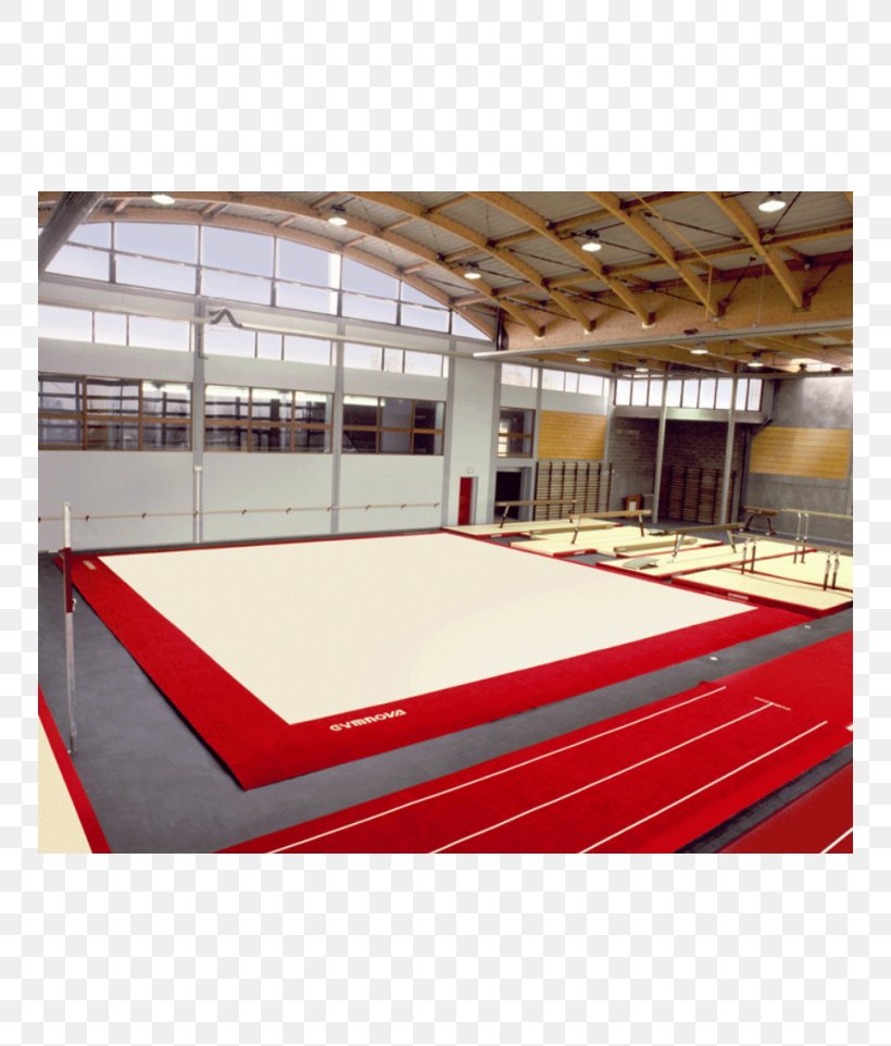 Gymnastics At The 1956 Summer Olympics – Women's Floor Artistic Gymnastics Sport, PNG, 750x962px, Floor, Aerobic Gymnastics, Artistic Gymnastics, Carpet, Daylighting Download Free