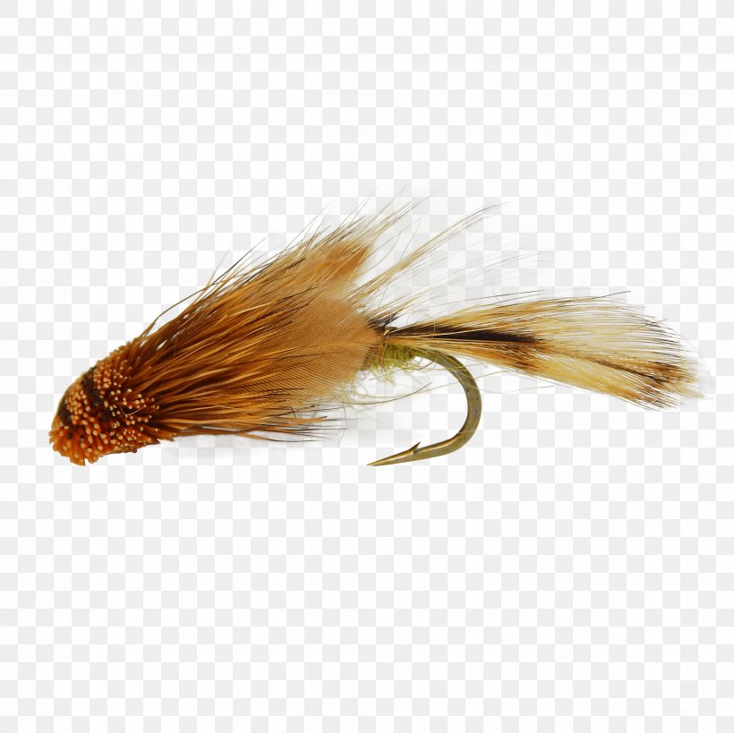 Holly Flies Sculpins Rainbow Trout Fly Fishing, PNG, 2448x2448px, Holly Flies, Bonefish Grill, Brand Ambassador, Fly Fishing, Ifwe Download Free