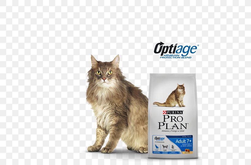 Maine Coon Whiskers Norwegian Forest Cat Cat Food Domestic Short-haired Cat, PNG, 540x540px, Maine Coon, Carnivoran, Cat, Cat Food, Cat Like Mammal Download Free
