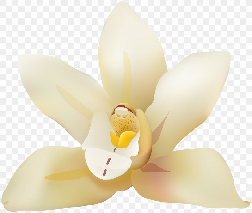 Petal Moth Orchids Cut Flowers Lilium, PNG, 8000x6761px, Petal, Close Up, Cut Flowers, Flower, Flowering Plant Download Free