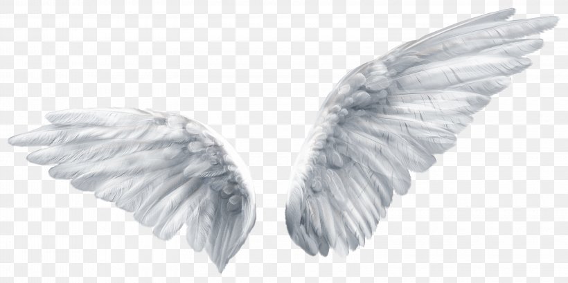 Wing Butterfly Angel Clip Art, PNG, 3200x1600px, Wing, Angel, Black And White, Blue, Butterfly Download Free