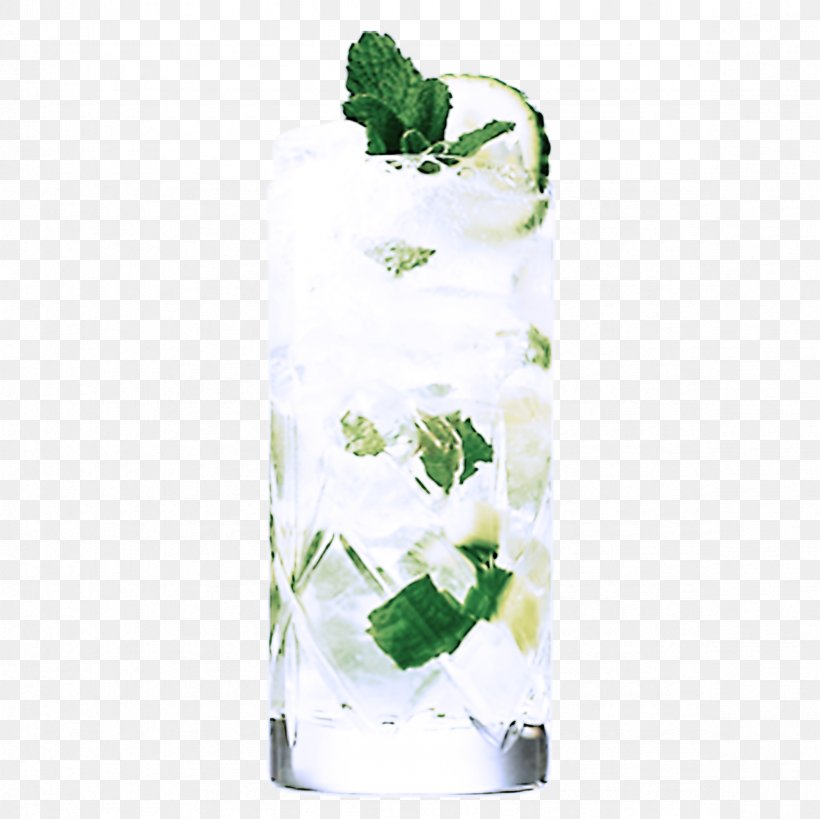 Ivy, PNG, 2362x2362px, Green, Flower, Glass, Highball Glass, Ivy Download Free