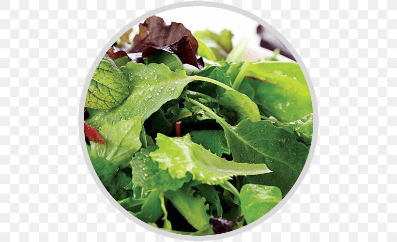 Organic Food Salad Leaf Vegetable Mesclun, PNG, 500x500px, Organic Food, Bowl, Dish, Food, Herb Download Free
