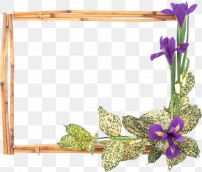 Floral Frame - Picture Frames Flower Window PNG