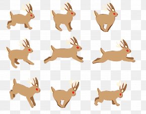 Holiday Ornament Roe Deer - Rabbit Cartoon PNG