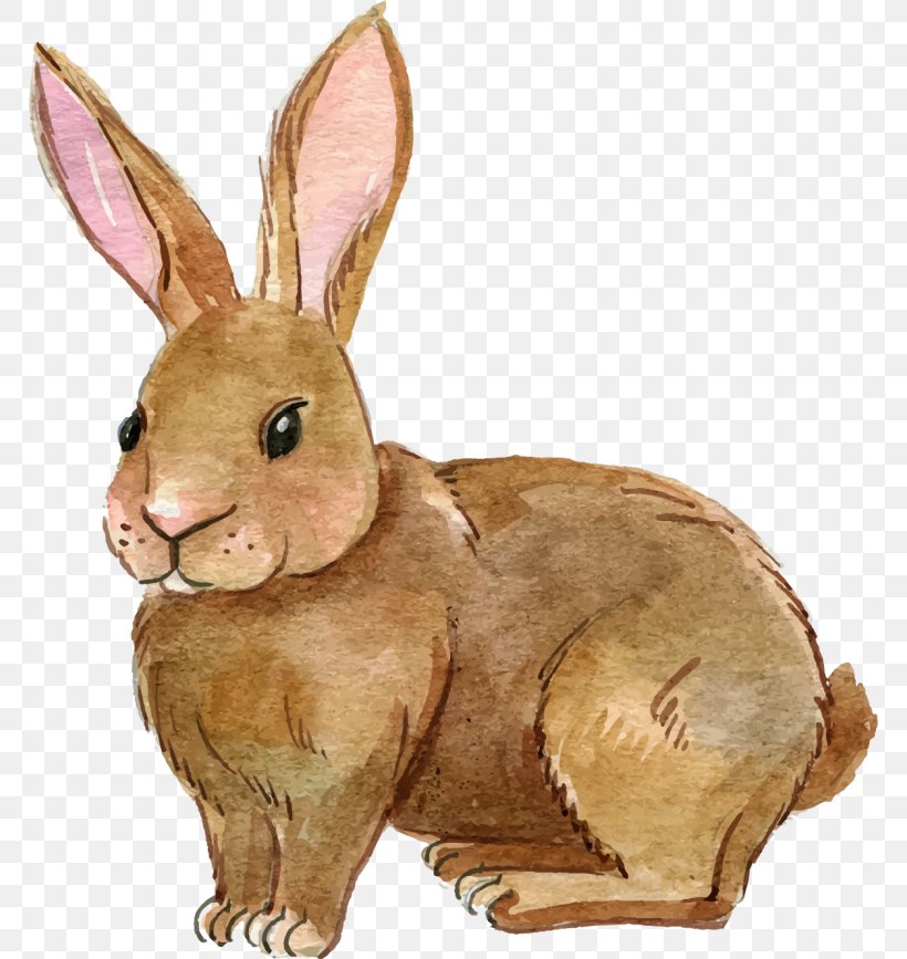 Clip Art European Rabbit Image, PNG, 768x867px, Rabbit, Domestic Rabbit, Drawing, Easter Bunny, European Rabbit Download Free