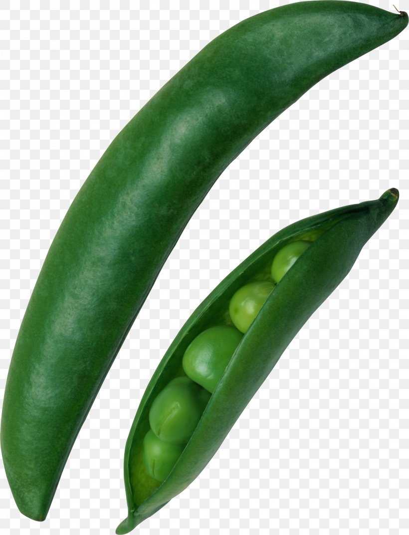 Common Bean Snow Pea Silique Green Bean, PNG, 2259x2958px, Common Bean, Bean, Bell Peppers And Chili Peppers, Chili Pepper, Food Download Free