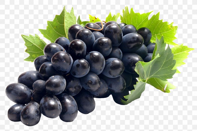 Common Grape Vine Juice Clip Art, PNG, 2400x1600px, Common Grape Vine, Amazon Grape, Berry, Bilberry, Blueberry Download Free