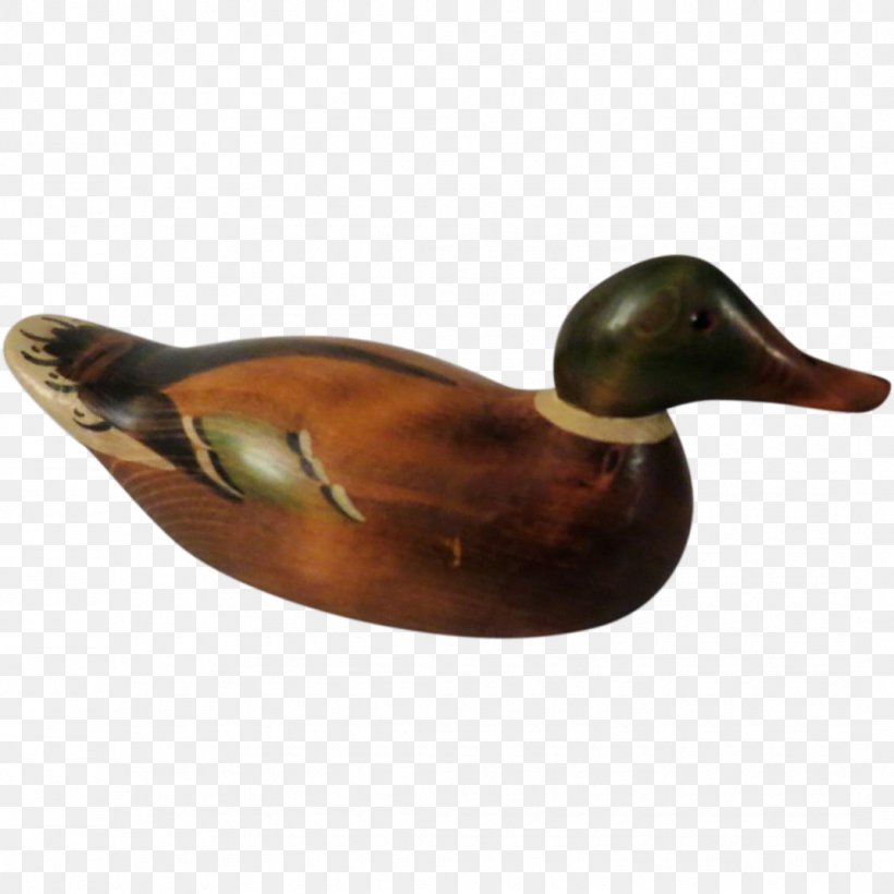 Mallard Duck Beak, PNG, 1070x1070px, Mallard, Beak, Bird, Duck, Ducks Geese And Swans Download Free