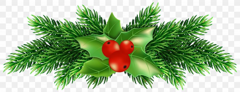 Common Holly Christmas Clip Art, PNG, 5000x1917px, Common Holly, Blog, Boxing Day, Christmas, Christmas Decoration Download Free