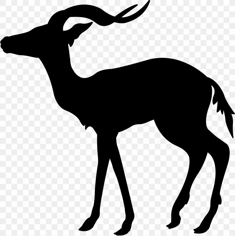 Deer GAZELLE M Clip Art Fauna Silhouette, PNG, 1642x1646px, Deer, Animal, Antelope, Blackandwhite, Chamois Download Free