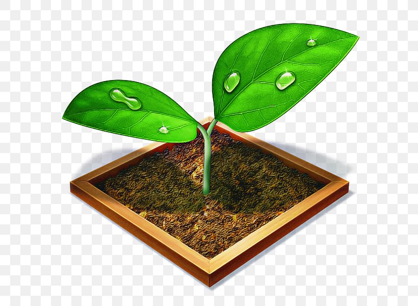 Green Leaf Background, PNG, 600x600px, Computer Monitors, Anthurium, Flower, Flowerpot, Green Download Free