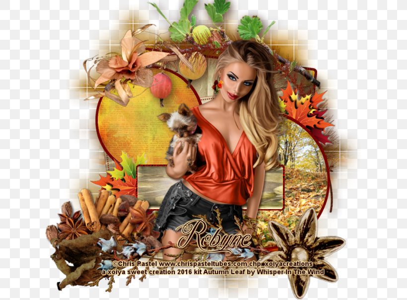 Photomontage Boilie Spice, PNG, 640x604px, Photomontage, Boilie, Spice Download Free