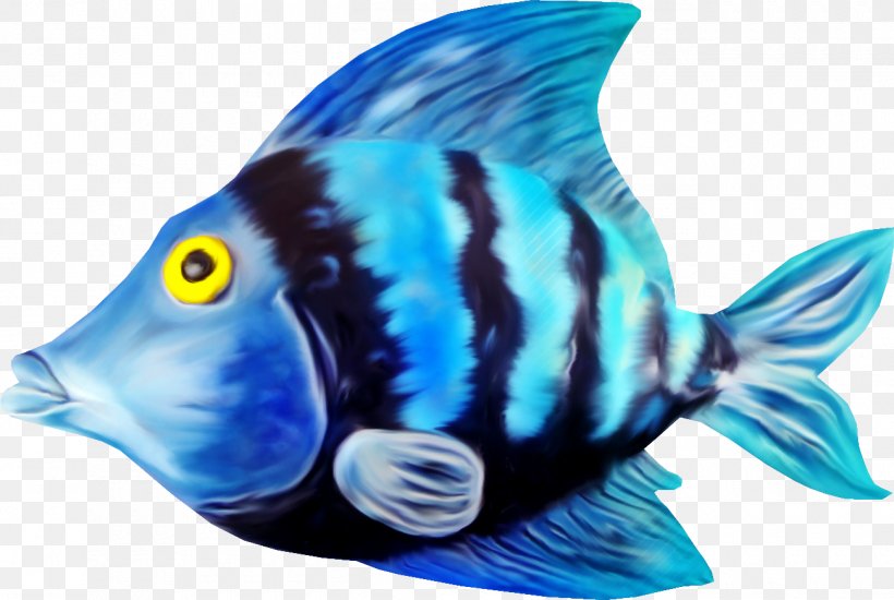 Carassius Auratus Fish Clip Art, PNG, 1300x872px, Carassius Auratus, Beak, Blue, Cobalt Blue, Coral Reef Fish Download Free