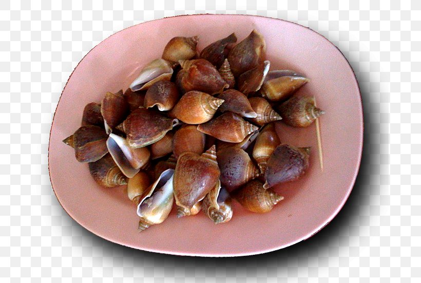 Cockle Mussel Recipe, PNG, 695x551px, Cockle, Animal Source Foods, Clam, Clams Oysters Mussels And Scallops, Ingredient Download Free