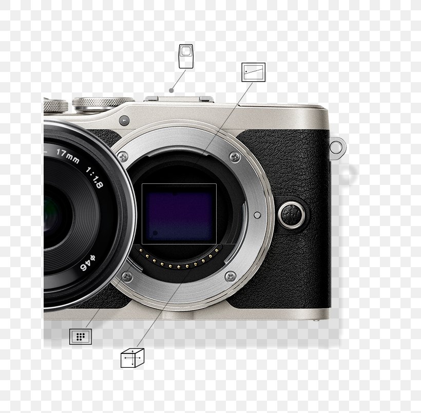 Olympus PEN E-PL9 Mirrorless Interchangeable-lens Camera Olympus Corporation System Camera, PNG, 650x804px, Olympus, Camera, Camera Accessory, Camera Lens, Cameras Optics Download Free