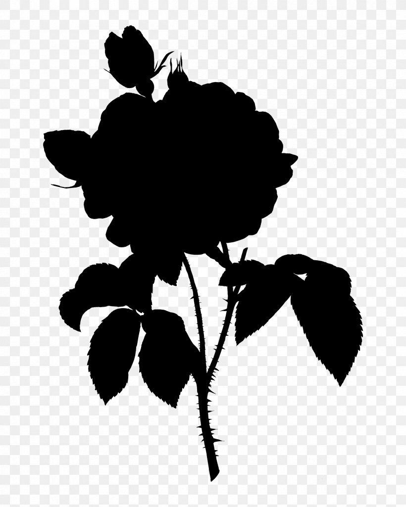 Botanical Rose Flowering Plant Clip Art, PNG, 2400x3000px, Flower, Blackandwhite, Botany, Branch, Branching Download Free