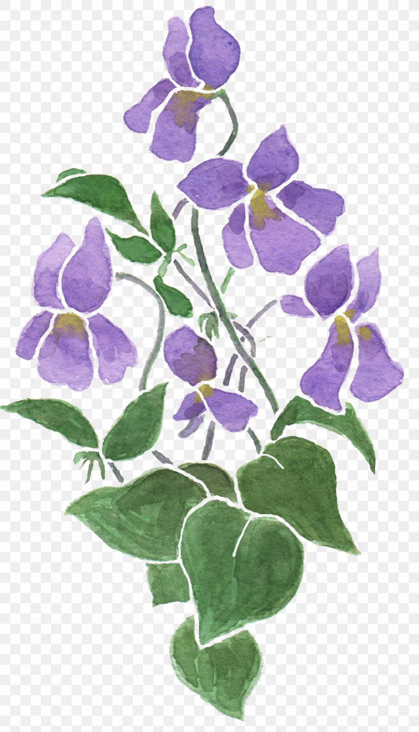 Cloth Napkins Sweet Violet Flower Drawing, PNG, 900x1572px, Cloth Napkins, African Violets, Birth Flower, Blue, Branch Download Free