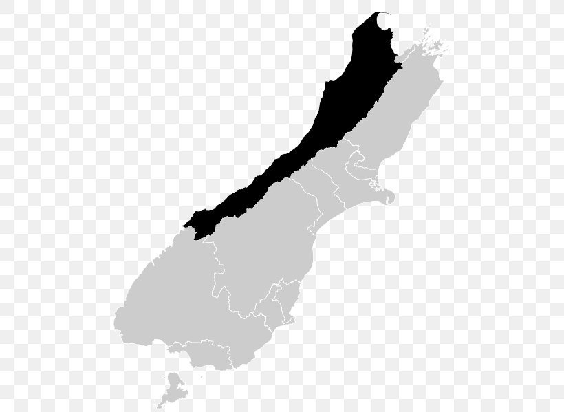Dunedin West Coast-Tasman Nelson Invercargill, PNG, 498x599px, Dunedin, Black, Black And White, City, Election Download Free
