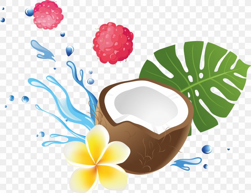 Fruit Coconut, PNG, 9341x7177px, Fruit, Cartoon, Coconut, Coffee Cup, Cup Download Free