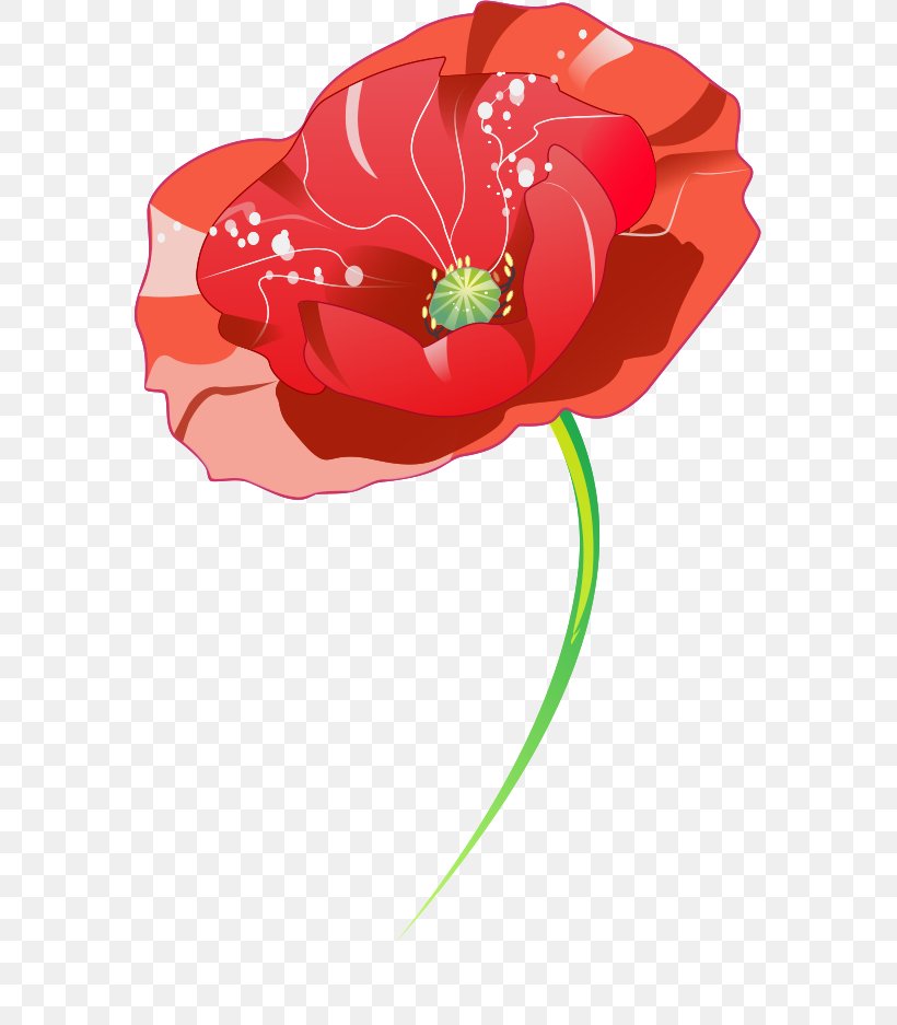 Illustration Illustrator Graphics Sketch Garden Roses, PNG, 573x937px, Illustrator, Advertising, Character, Comics, Computer Download Free