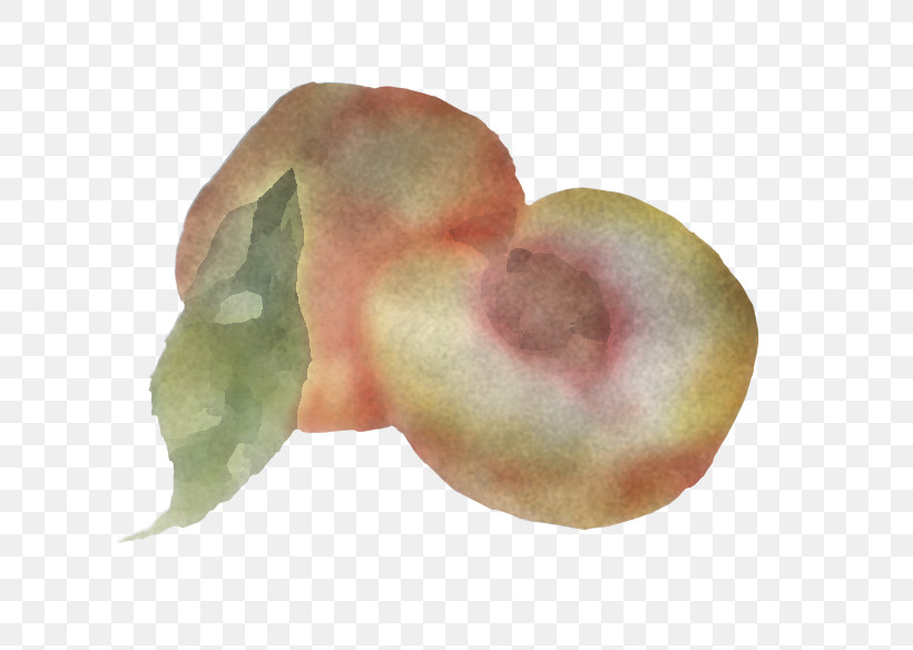 Peach Close-up Fruit, PNG, 699x584px, Peach, Closeup, Fruit Download Free