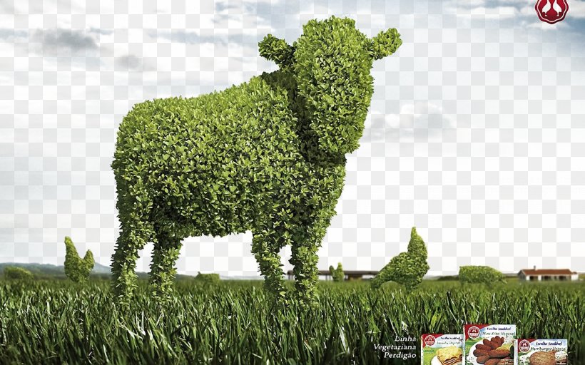 Cattle Creativity Wallpaper, PNG, 1440x900px, Cattle, Advertising, Art, Creativity, Dairy Cattle Download Free