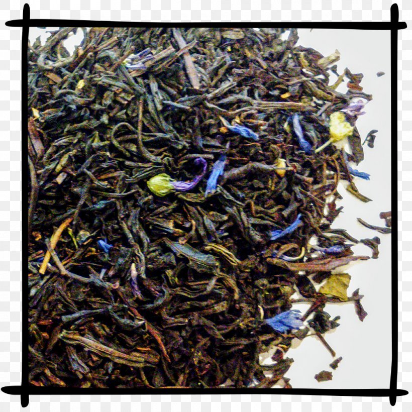 Dianhong Golden Monkey Tea Nilgiri Tea Tea Ink, PNG, 1000x1000px, Dianhong, Assam Tea, Black Tea, Ceylon Tea, Coffee Download Free