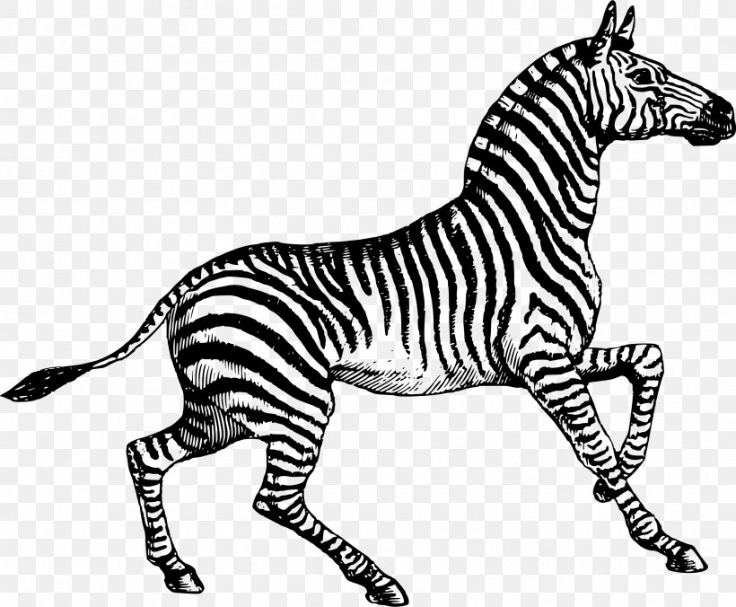 Paper Post Cards Zebra, PNG, 2399x1980px, Paper, Animal, Animal Figure, Ansichtkaart, Big Cats Download Free