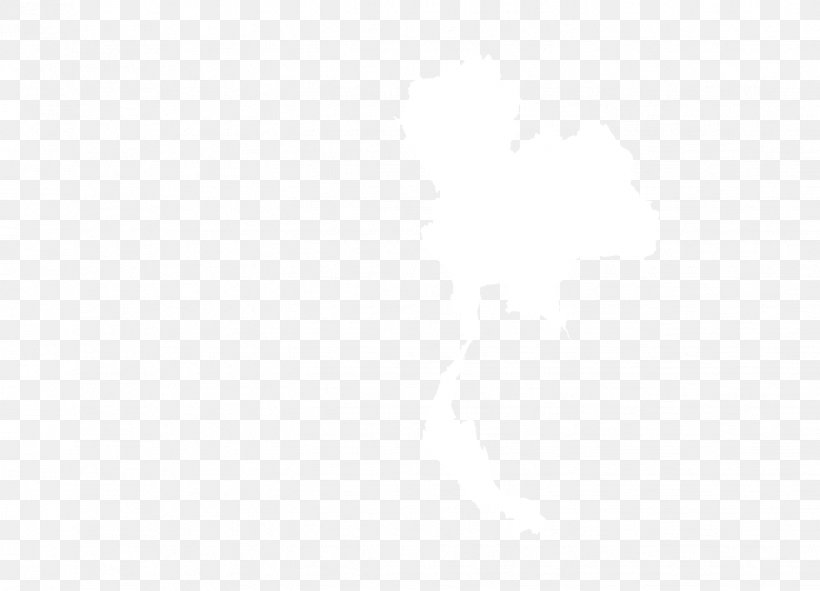 United States White Drawing Color, PNG, 1427x1030px, United States, Business, Color, Drawing, Notebook Download Free