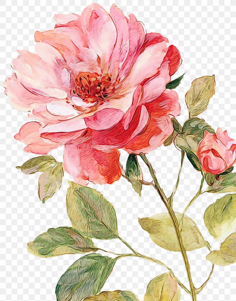 Canvas Art Flower Painting Rose, PNG, 1257x1600px, Canvas, Art, Art Museum, Artificial Flower, Botany Download Free