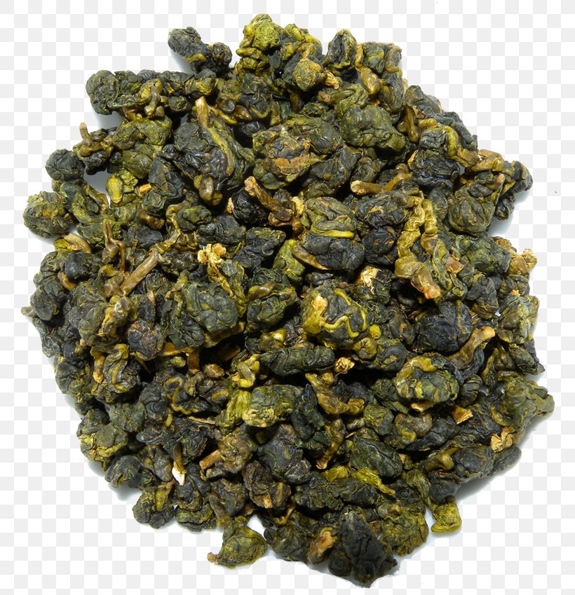 Oolong Herbal Tea Tea Plant GABA Tea, PNG, 800x849px, Oolong, Aftertaste, Aroma, Cymbopogon Citratus, Fennel Download Free