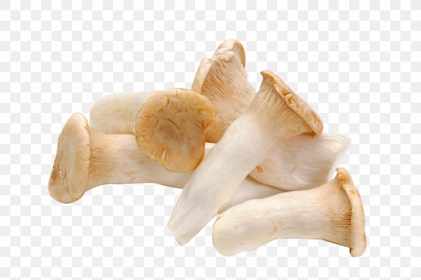 Pleurotus Eryngii Mushroom Food Vegetable Agaricus, PNG, 3008x2000px, Pleurotus Eryngii, Agaricaceae, Agaricus, Allium Fistulosum, Bell Pepper Download Free