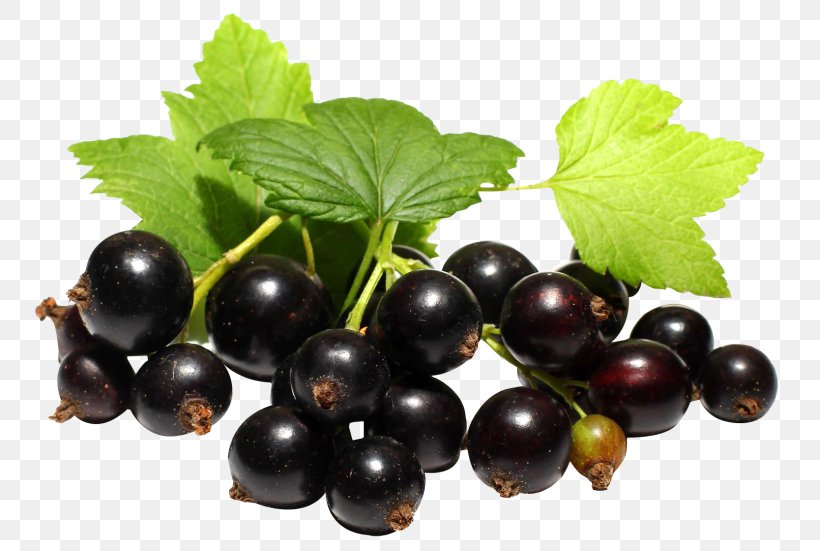 Blackcurrant Juice Zante Currant Grape, PNG, 768x551px, Blackcurrant, Berry, Bilberry, Blackberry, Blueberry Download Free