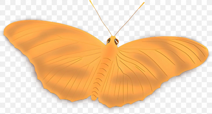 Orange, PNG, 2400x1300px, Orange, Butterfly, Insect, Moths And Butterflies, Necklace Download Free