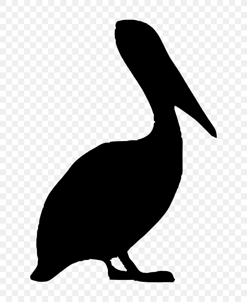 Silhouette Brown Pelican Drawing Clip Art, PNG, 750x1000px, Silhouette, Artwork, Australian Pelican, Beak, Bird Download Free