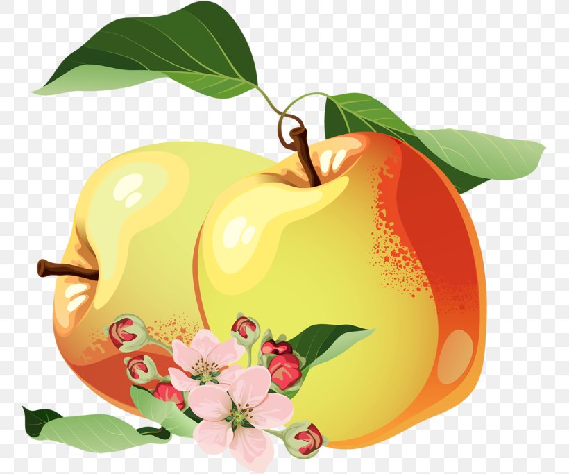 Apple Marmalade, PNG, 759x683px, Apple, Apples, Citrus, Food, Fruit Download Free