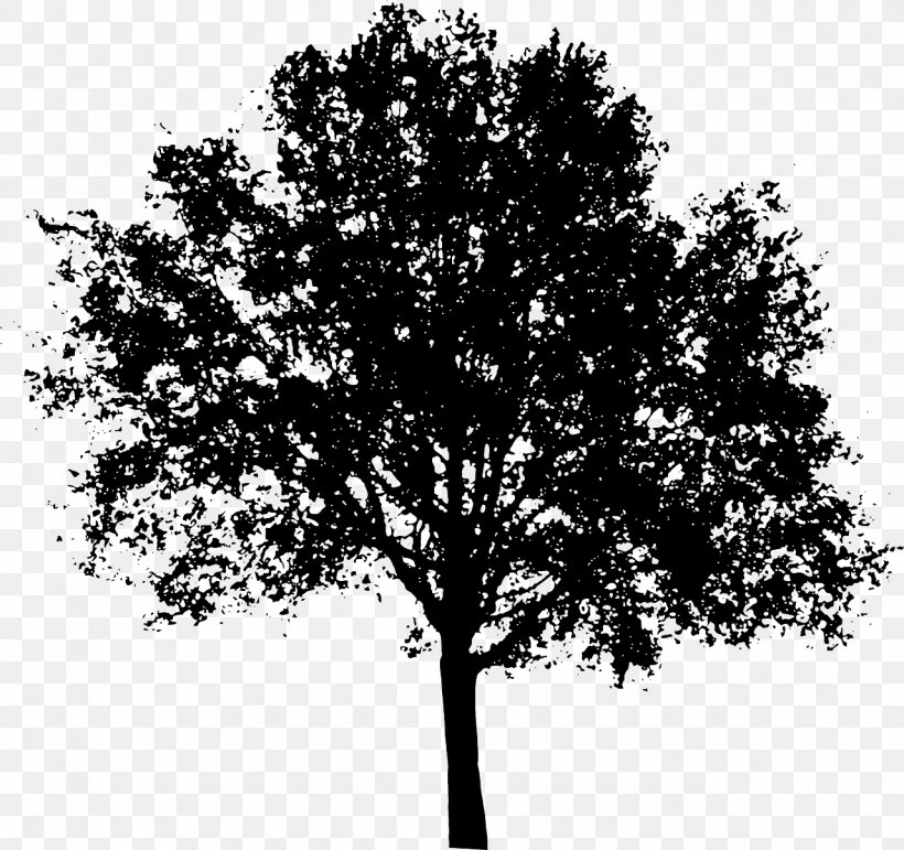 Clip Art Tree Vector Graphics Image, PNG, 1280x1204px, Tree, Black And White, Branch, Drawing, Leaf Download Free
